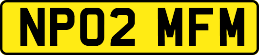NP02MFM