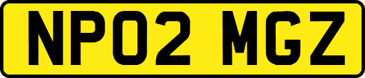 NP02MGZ