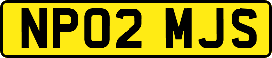 NP02MJS