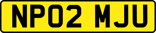 NP02MJU