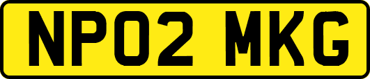 NP02MKG