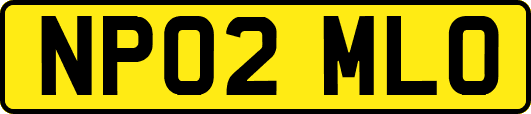 NP02MLO