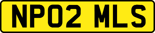 NP02MLS