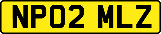 NP02MLZ