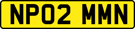 NP02MMN