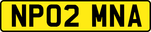 NP02MNA
