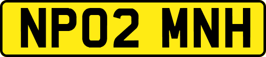 NP02MNH