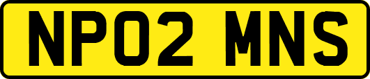 NP02MNS