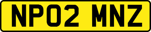 NP02MNZ