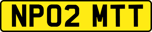 NP02MTT