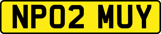NP02MUY