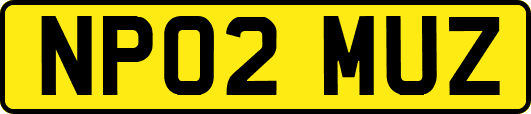 NP02MUZ