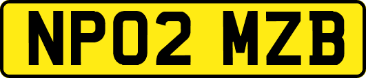 NP02MZB