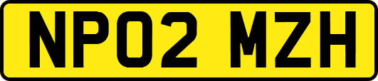 NP02MZH