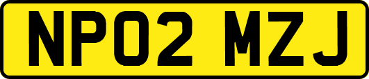 NP02MZJ