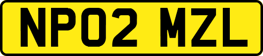 NP02MZL