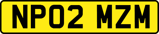 NP02MZM