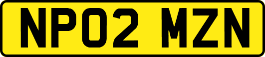 NP02MZN
