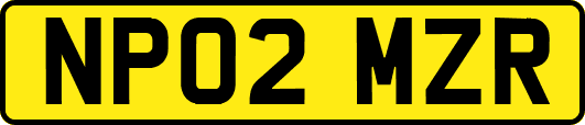 NP02MZR