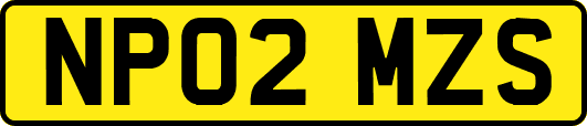NP02MZS