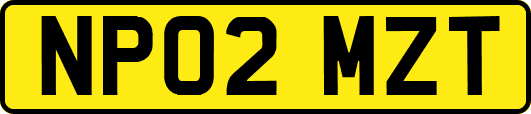 NP02MZT