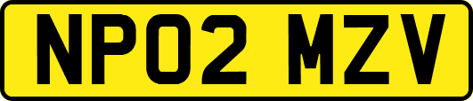 NP02MZV