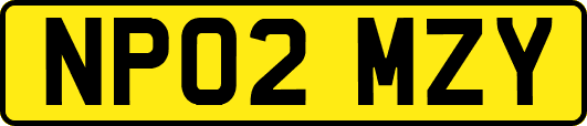 NP02MZY