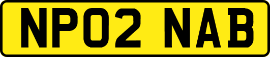 NP02NAB