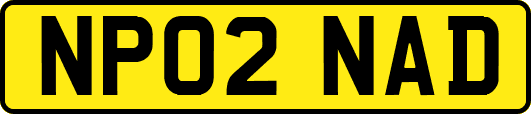 NP02NAD