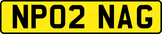 NP02NAG