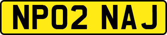 NP02NAJ