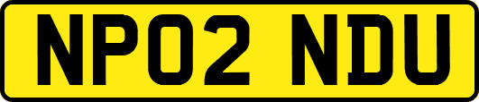 NP02NDU