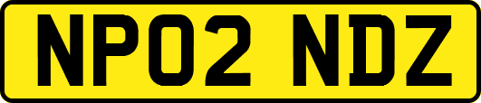 NP02NDZ
