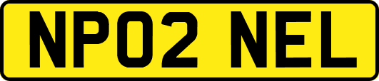 NP02NEL