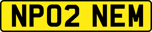 NP02NEM