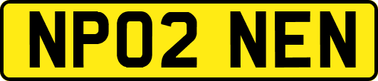 NP02NEN