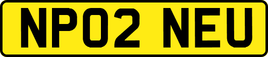 NP02NEU
