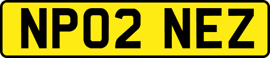 NP02NEZ