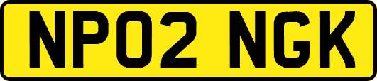 NP02NGK