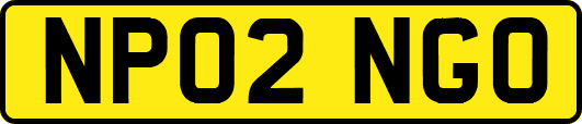NP02NGO