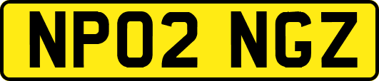 NP02NGZ
