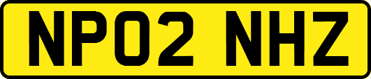 NP02NHZ