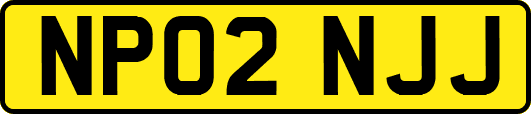 NP02NJJ