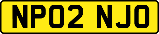 NP02NJO