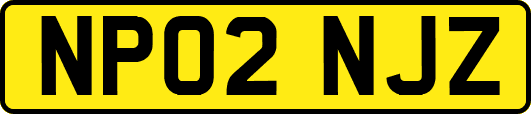 NP02NJZ