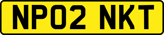 NP02NKT