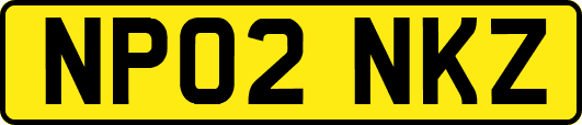 NP02NKZ
