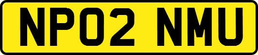 NP02NMU