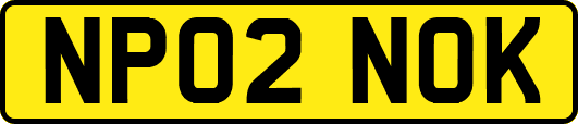NP02NOK