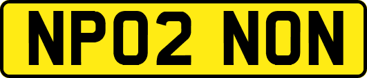 NP02NON